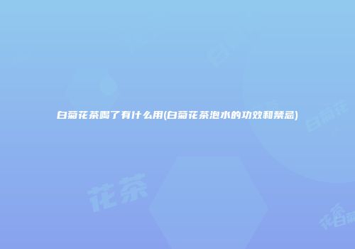 白菊花茶喝了有什么用(白菊花茶泡水的功效和禁忌)