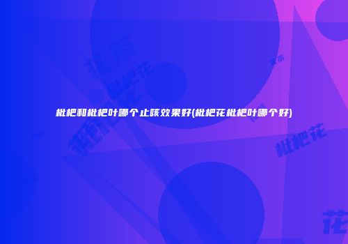 枇杷和枇杷叶哪个止咳效果好(枇杷花枇杷叶哪个好)
