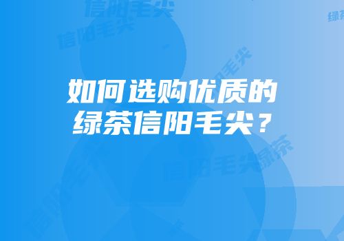 如何选购优质的绿茶信阳毛尖？