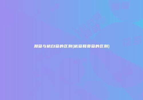 滁菊与杭白菊的区别(杭菊和贡菊的区别)
