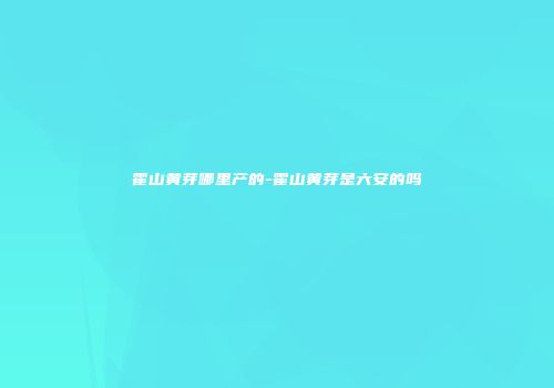 霍山黄芽哪里产的-霍山黄芽是六安的吗