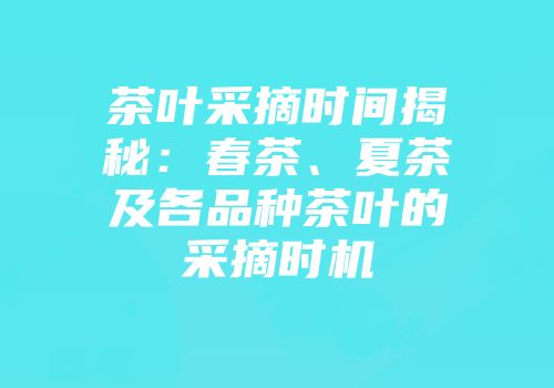 茶叶采摘时间揭秘：春茶、夏茶及各品种茶叶的采摘时机
