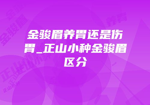 金骏眉养胃还是伤胃_正山小种金骏眉区分