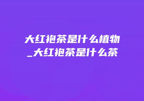 大红袍茶是什么植物_大红袍茶是什么茶