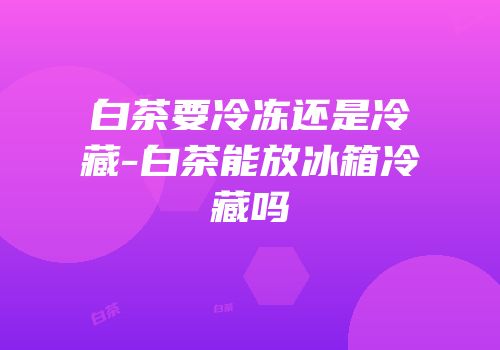 白茶要冷冻还是冷藏-白茶能放冰箱冷藏吗