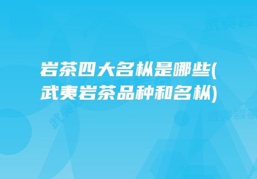 岩茶四大名枞是哪些(武夷岩茶品种和名枞)