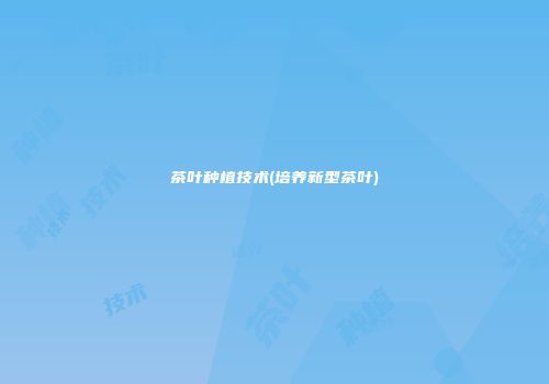 茶叶种植技术(培养新型茶叶)