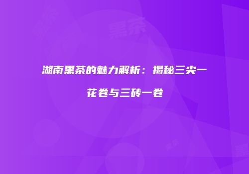 湖南黑茶的魅力解析：揭秘三尖一花卷与三砖一卷