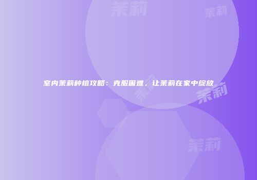 室内茉莉种植攻略：克服困难，让茉莉在家中绽放