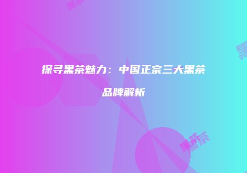 探寻黑茶魅力：中国正宗三大黑茶品牌解析
