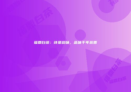 福鼎白茶：诗意韵味，品味千年茶香