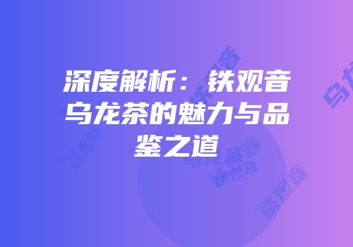 深度解析：铁观音乌龙茶的魅力与品鉴之道
