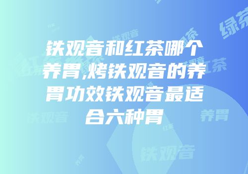 铁观音和红茶哪个养胃,烤铁观音的养胃功效铁观音最适合六种胃