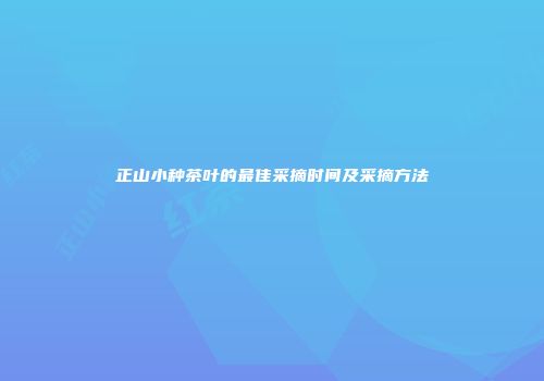 正山小种茶叶的最佳采摘时间及采摘方法