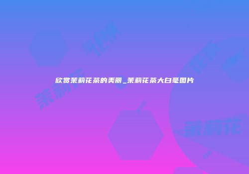欣赏茉莉花茶的美丽_茉莉花茶大白毫图片