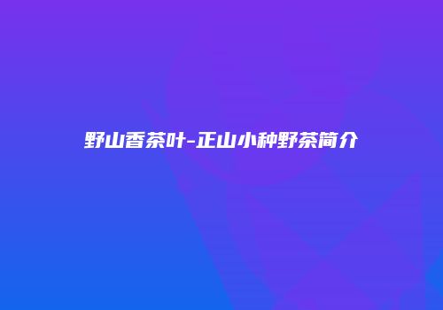 野山香茶叶-正山小种野茶简介
