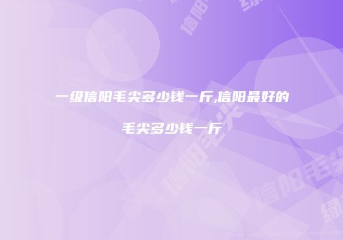 一级信阳毛尖多少钱一斤,信阳最好的毛尖多少钱一斤