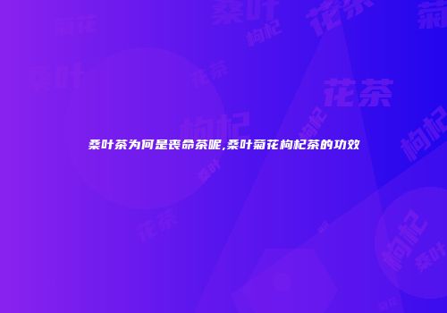 桑叶茶为何是丧命茶呢,桑叶菊花枸杞茶的功效