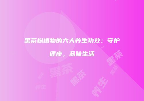 黑茶树植物的六大养生功效：守护健康，品味生活