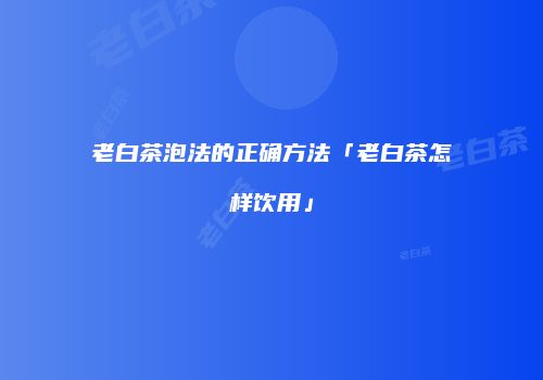 老白茶泡法的正确方法「老白茶怎样饮用」