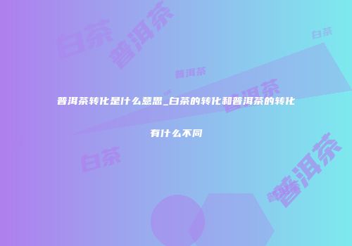 普洱茶转化是什么意思_白茶的转化和普洱茶的转化有什么不同