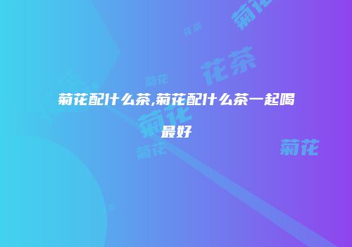 菊花配什么茶,菊花配什么茶一起喝最好
