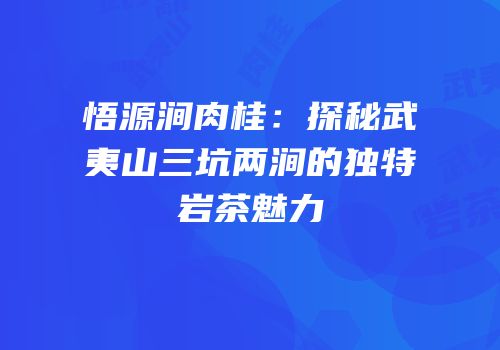悟源涧肉桂：探秘武夷山三坑两涧的独特岩茶魅力