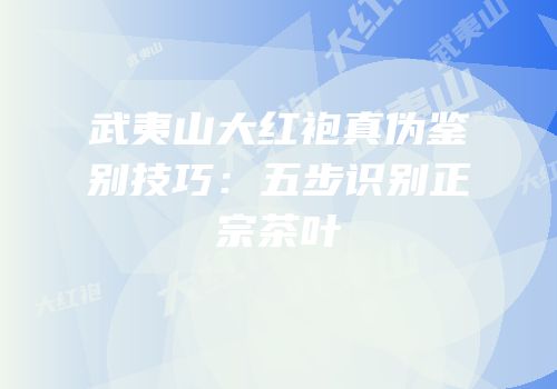 武夷山大红袍真伪鉴别技巧：五步识别正宗茶叶