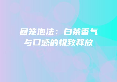 回笼泡法：白茶香气与口感的极致释放