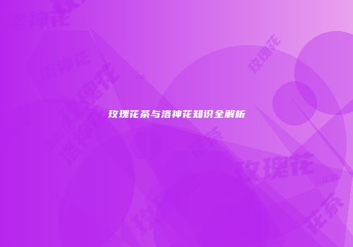 玫瑰花茶与洛神花知识全解析