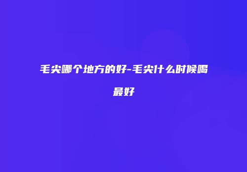 毛尖哪个地方的好-毛尖什么时候喝最好