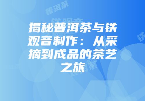 揭秘普洱茶与铁观音制作：从采摘到成品的茶艺之旅
