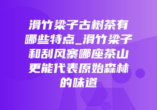 滑竹梁子古树茶有哪些特点_滑竹梁子和刮风寨哪座茶山更能代表原始森林的味道