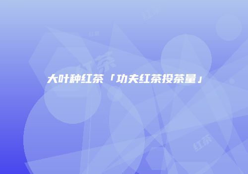 大叶种红茶「功夫红茶投茶量」