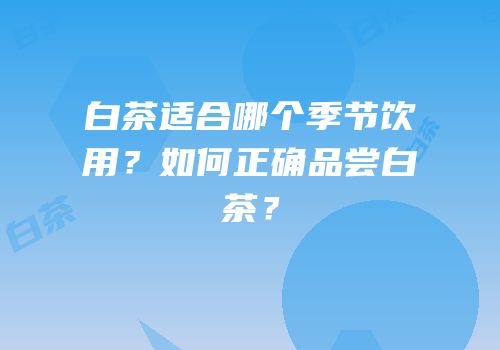 白茶适合哪个季节饮用？如何正确品尝白茶？