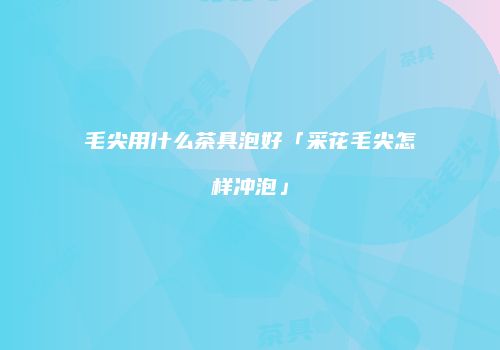 毛尖用什么茶具泡好「采花毛尖怎样冲泡」