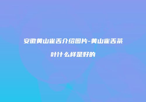 安徽黄山雀舌介绍图片-黄山雀舌茶叶什么样是好的