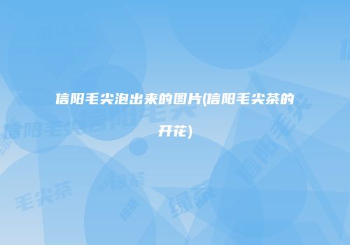 信阳毛尖泡出来的图片(信阳毛尖茶的开花)