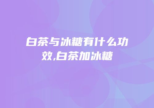 白茶与冰糖有什么功效,白茶加冰糖
