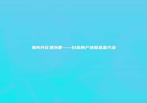 墙内开花墙外香——白茶的产地和品鉴方法