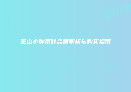 正山小种茶叶品质解析与购买指南