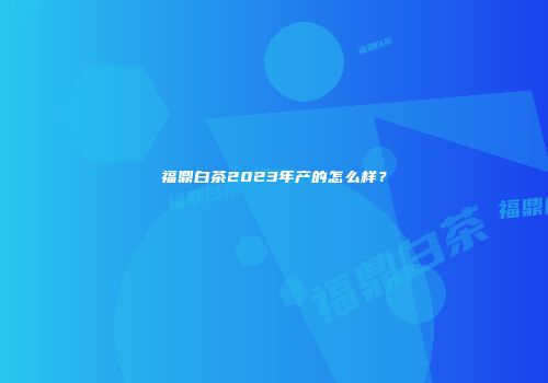 福鼎白茶2023年产的怎么样？