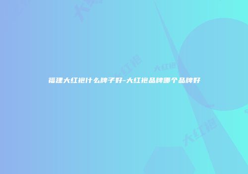 福建大红袍什么牌子好-大红袍品牌哪个品牌好