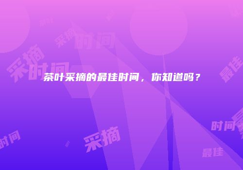 茶叶采摘的最佳时间，你知道吗？