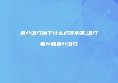 金丝滇红属于什么档次的茶,滇红金丝和金丝滇红