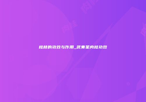 桂枝的功效与作用_武夷星肉桂功效