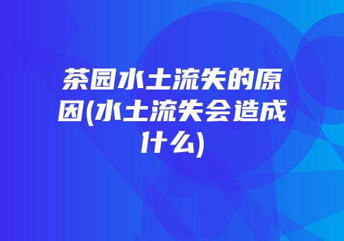 茶园水土流失的原因(水土流失会造成什么)