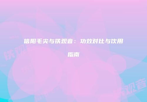 信阳毛尖与铁观音：功效对比与饮用指南