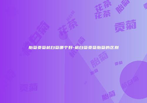 胎菊贡菊杭白菊哪个好-杭白菊贡菊胎菊的区别