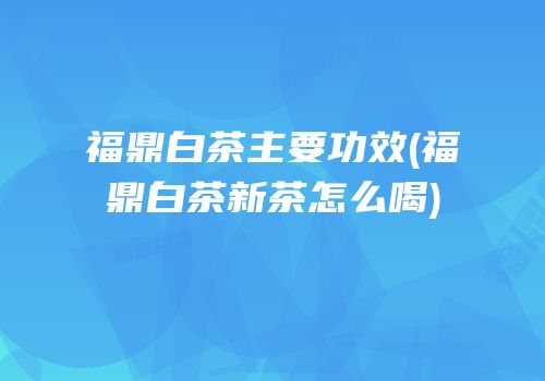 福鼎白茶主要功效(福鼎白茶新茶怎么喝)